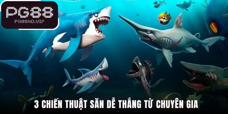 Chiến thuật săn Jackpot Đánh Cá giúp dùng vốn hiệu quả