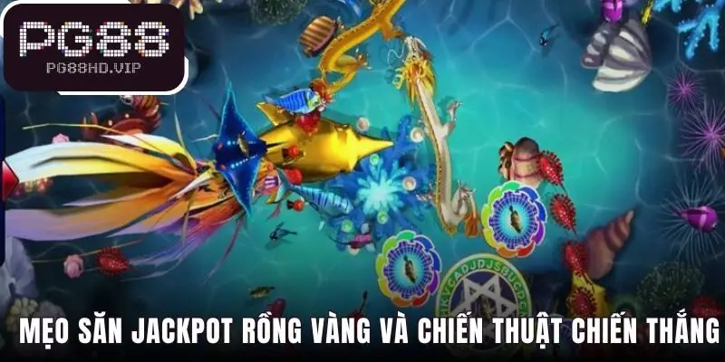 Chiến thuật chiến thắng Kho báu Long Cung từ các cao thủ