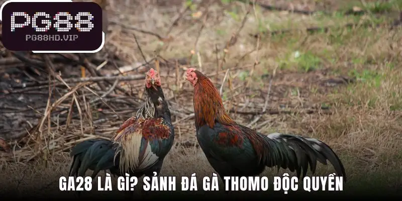 Ga28 là nền tảng độc quyền mang lại sự an toàn tin cậy