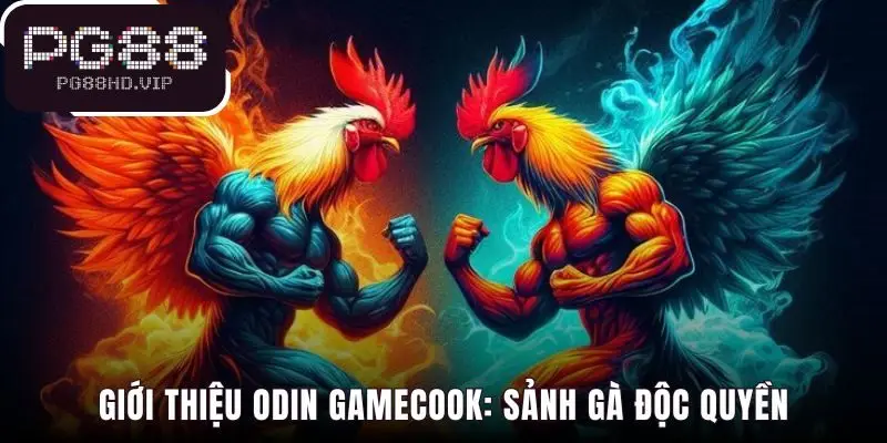 Sảnh gà Odin Gamecook hợp tác độc quyền duy nhất với PG88
