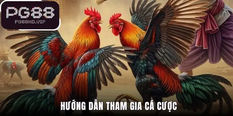 Quy trình đặt cược tại sảnh AOG chỉ với 5 bước