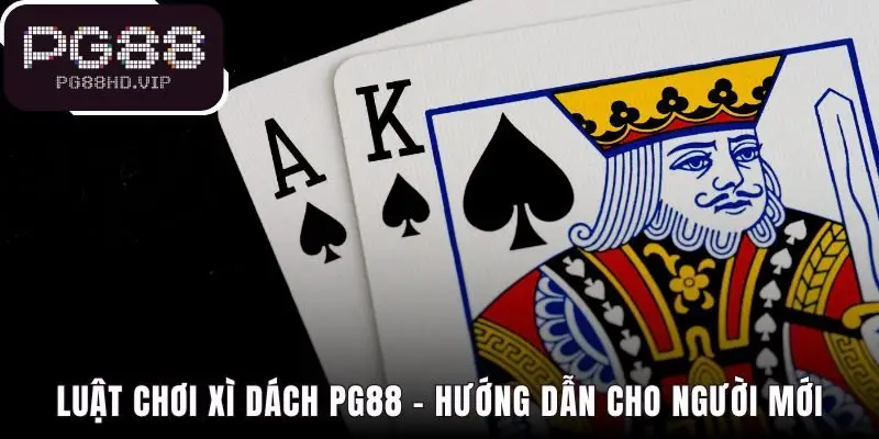 Luật chơi và nền tảng từ cách tính điểm đến thuật ngữ