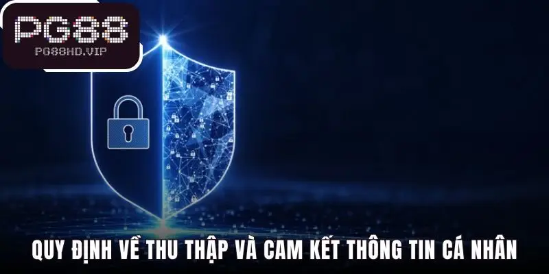 Các quy định minh bạch về thu thập và bảo vệ dữ liệu