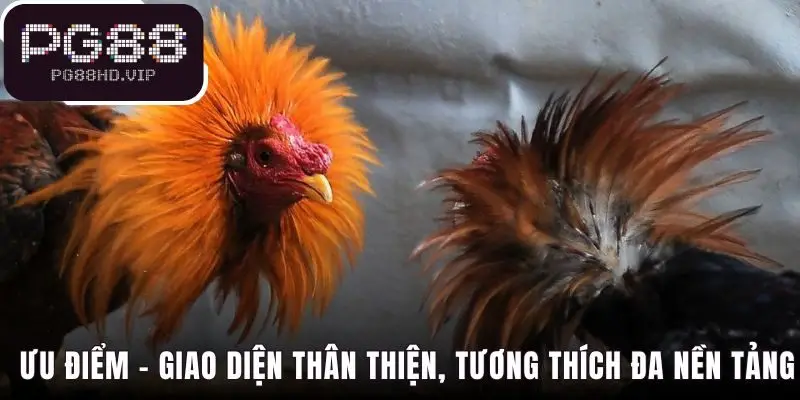 Giao diện Yellowbat thân thiện hỗ trợ trả thưởng tức thì